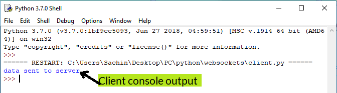 Python WebSockets Client code output